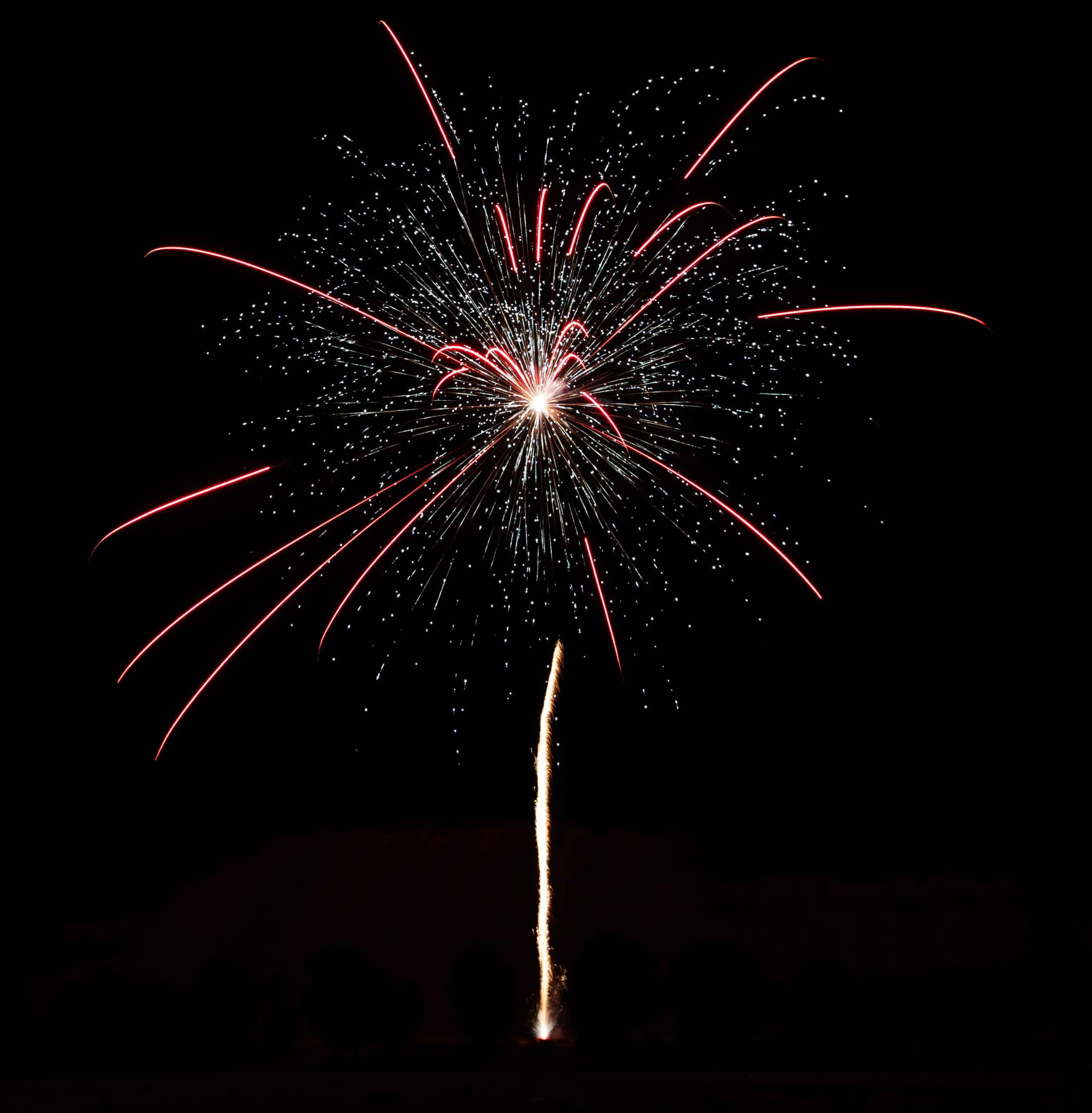 Batteriefeuerwerk - Flowergirls, 64 Schuss – Bild 2