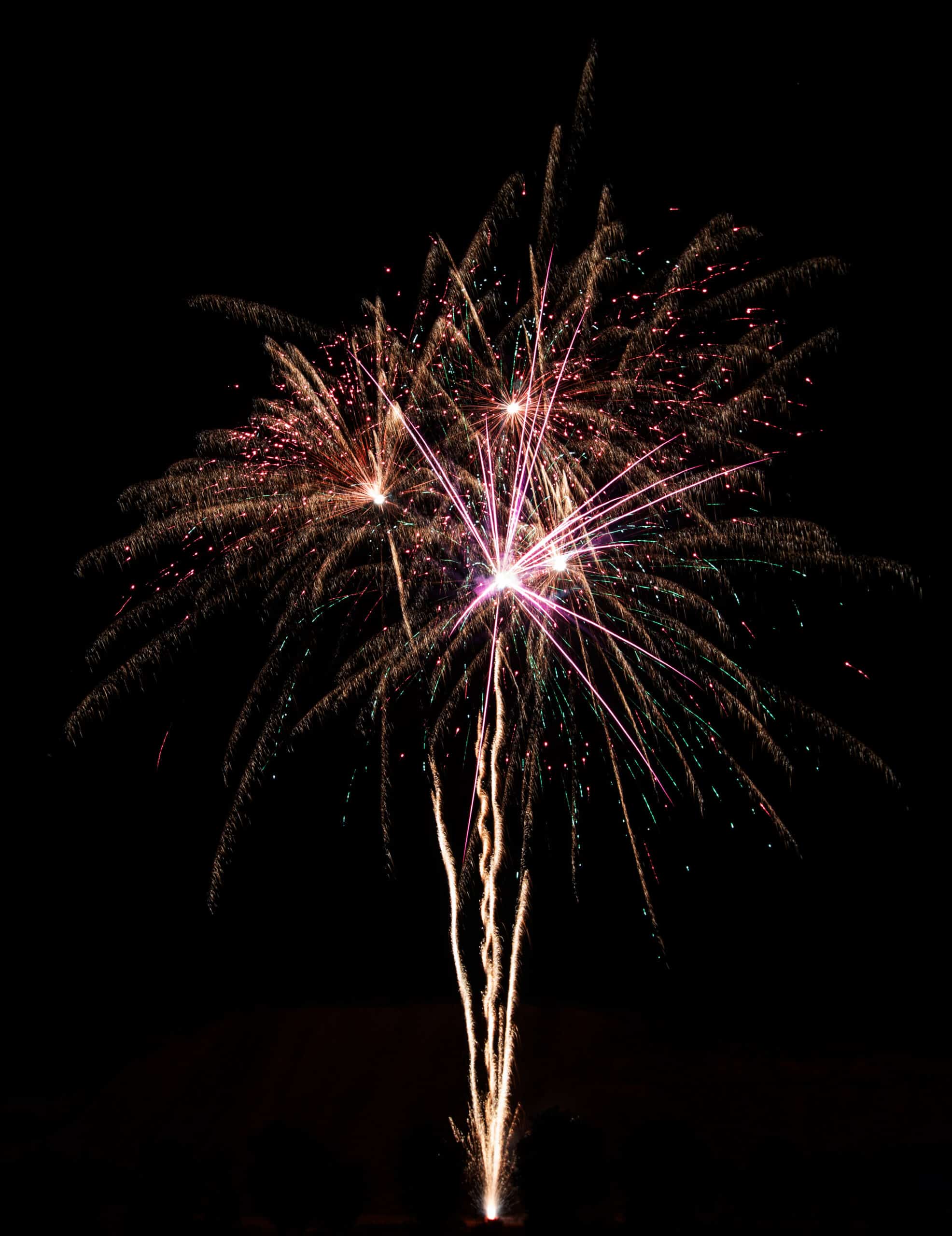 Batteriefeuerwerk - Flowergirls, 64 Schuss – Bild 5